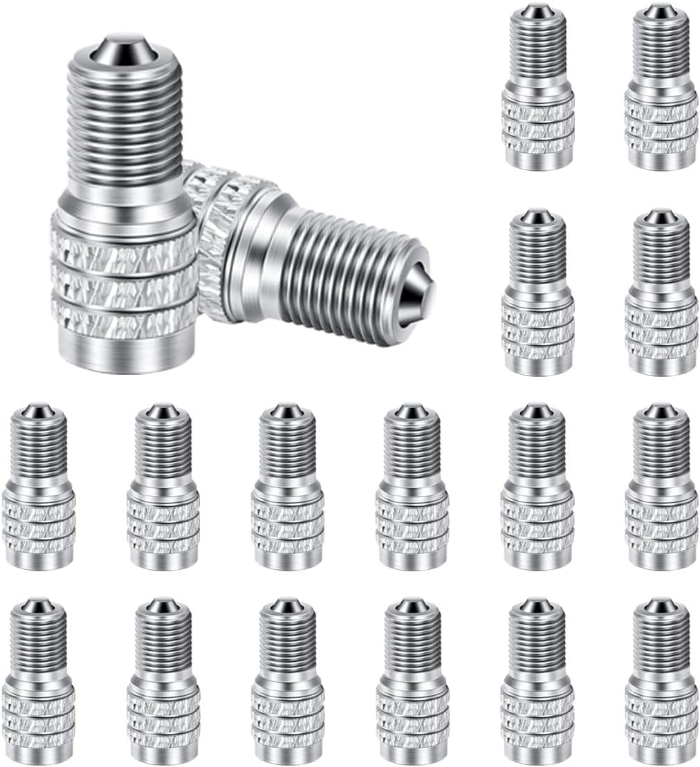 20 Pcs Double Seal Metal Valve Stem Caps for High Pressure Truck Car RV Semi